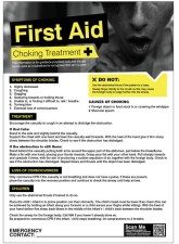 First Aid Choking - Poster